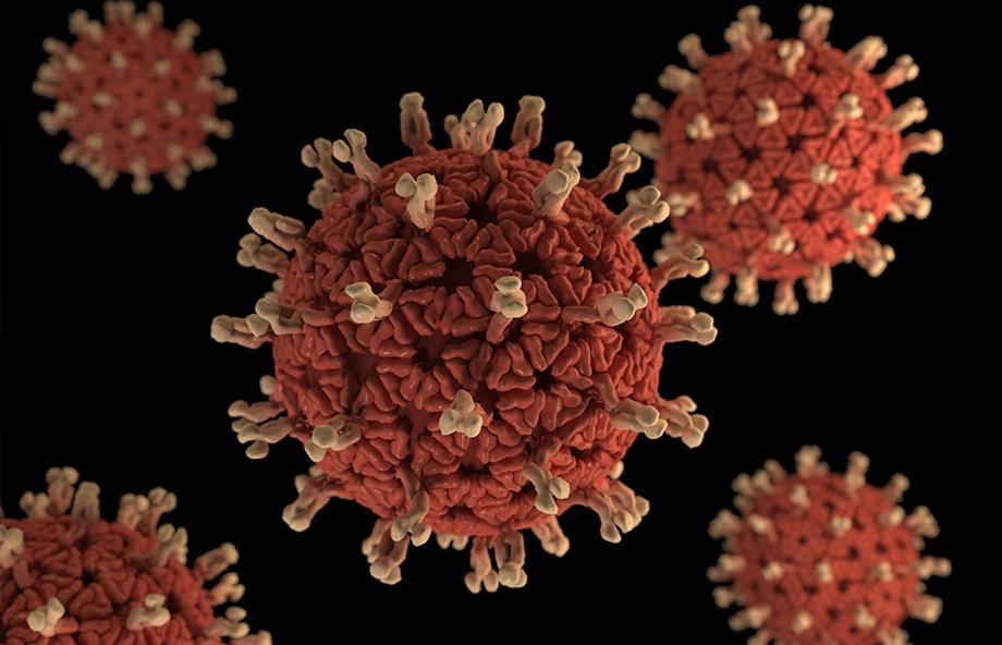 An Ancient Virus, Awakening from Tens of Thousands of Years of Hibernation 이미지